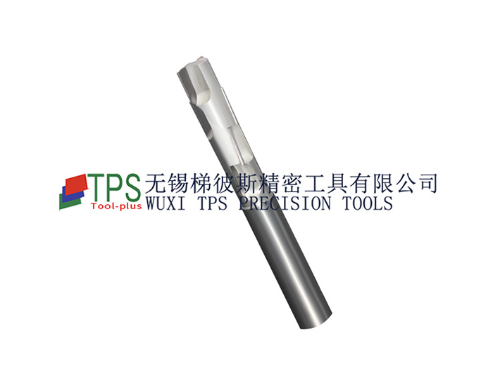 �Ǳ���͵���